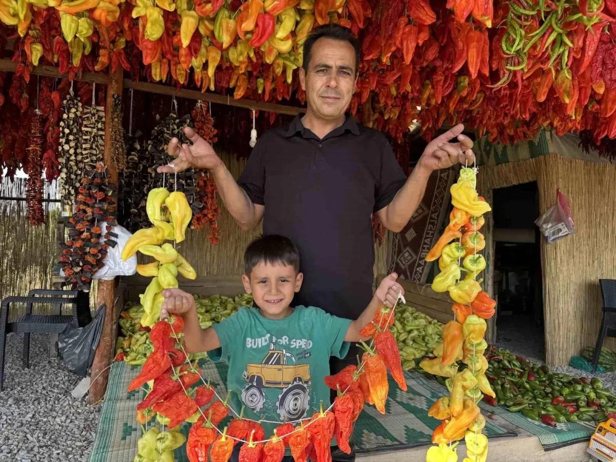 kale biberi dunyaya tanitiliyor jeWIKg3U