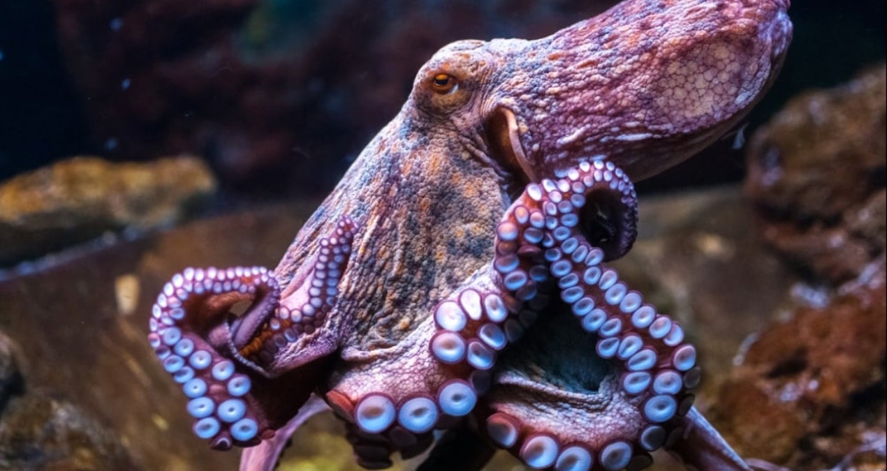 sandigimizdan daha planli calisiyor her kol kendi gorevini biliyor EqBUHgFQ