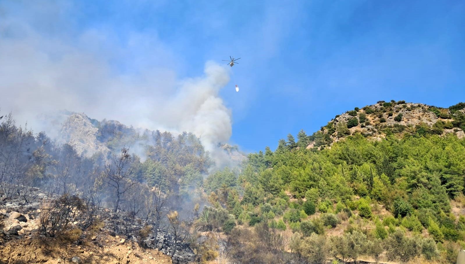 serikteki orman yanginina bir gozalti rTUKQeEI