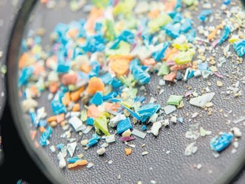 Karli zirvelerde mikroplastik alarmi JPacUKSX