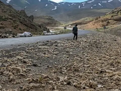 Vanda tonlarcasi dogaya birakildi ama buyuk felakete yol acacak swpeHIBF
