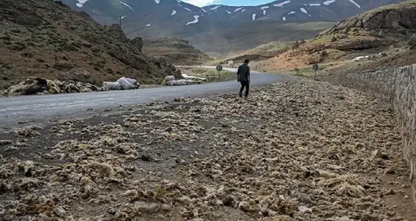 Vanda tonlarcasi dogaya birakildi ama buyuk felakete yol acacak swpeHIBF